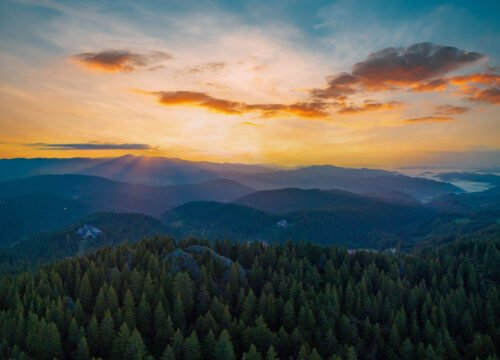Valley of Balkan mountains is covered with fog, sunny clouds and evergreen spruce forests. Village Pamporovo in intermountain. Panorama, top view